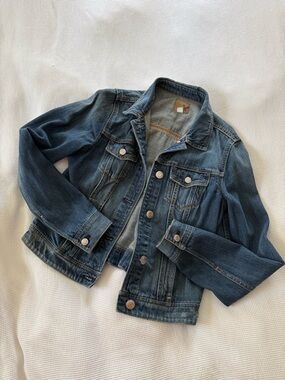 American Eagle Outfitters Dark Blue Denim Jacket